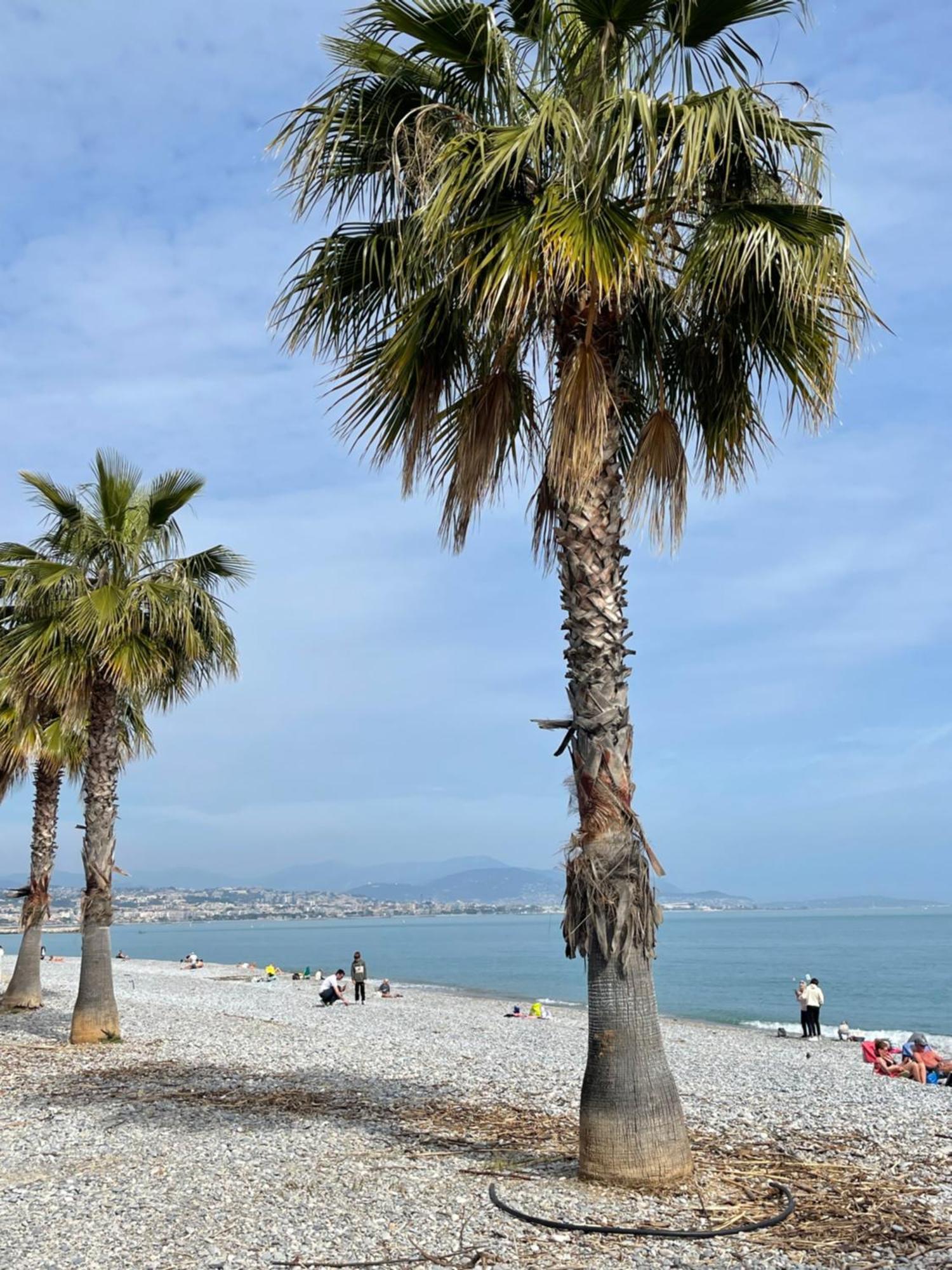 Villeneuve Loubet Plage- Entre Nice Et Cannes Екстер'єр фото