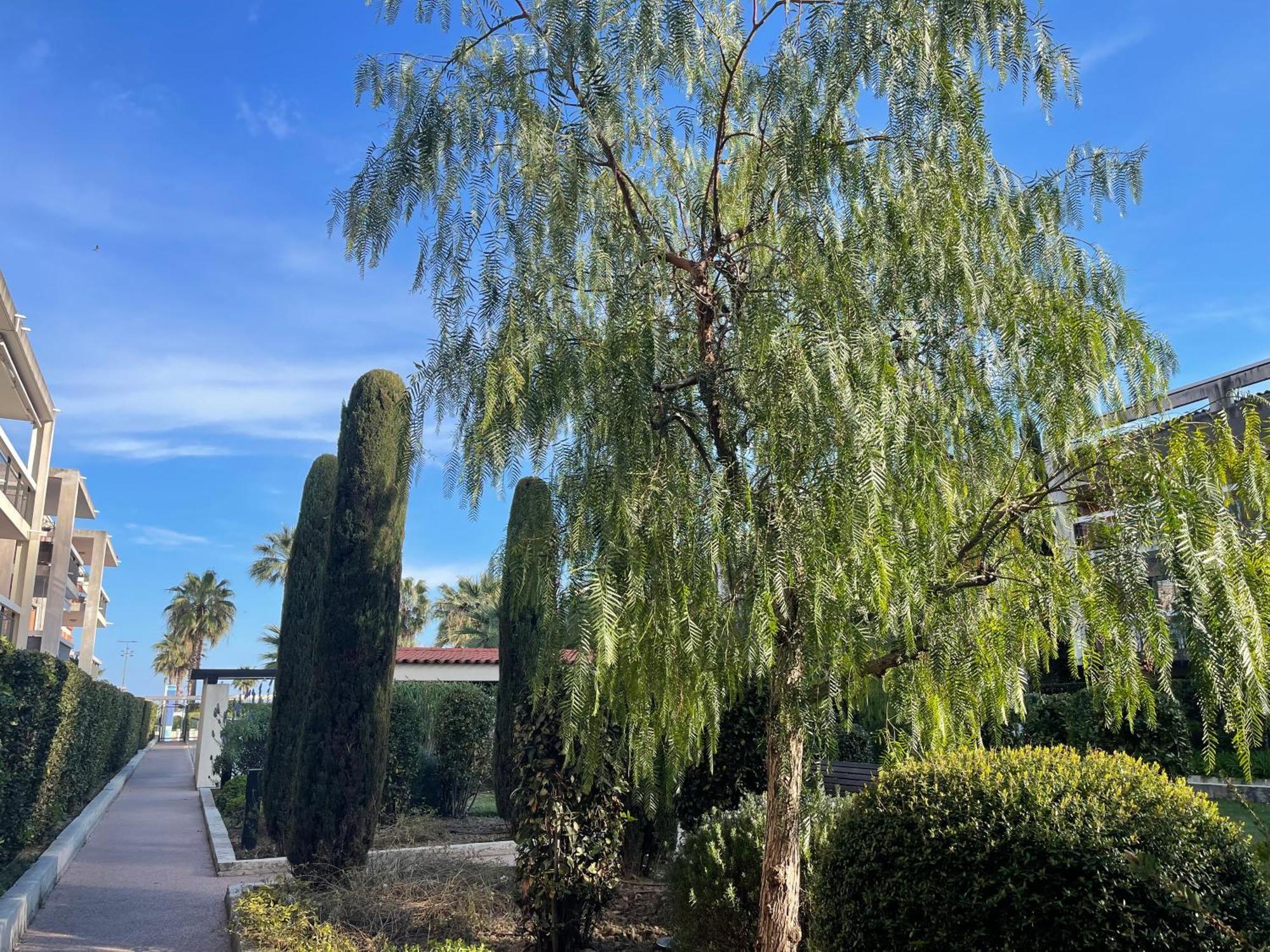 Villeneuve Loubet Plage- Entre Nice Et Cannes Екстер'єр фото