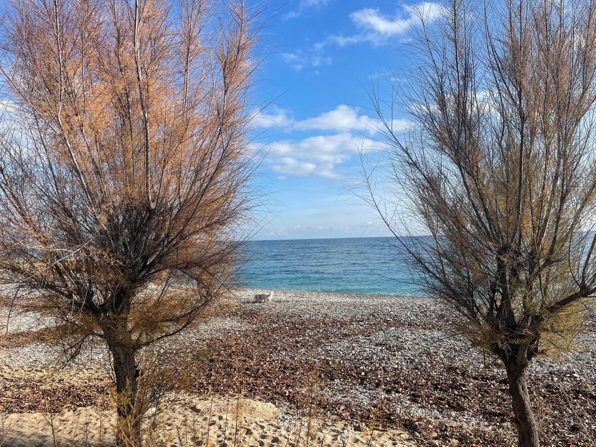 Villeneuve Loubet Plage- Entre Nice Et Cannes Екстер'єр фото